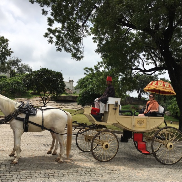 Meet your Posher, Suzanne - Picture 1 of 4